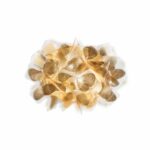 Applique murale design SLAMP Clizia – Finition dorée – Image 4